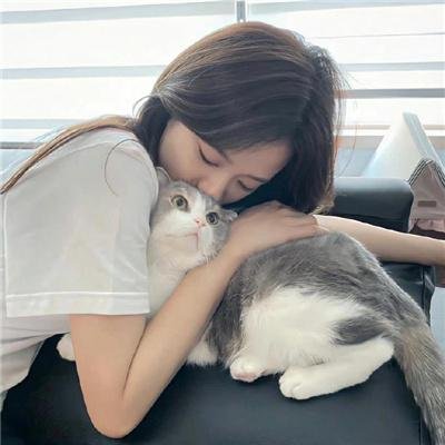 绑架门口狗